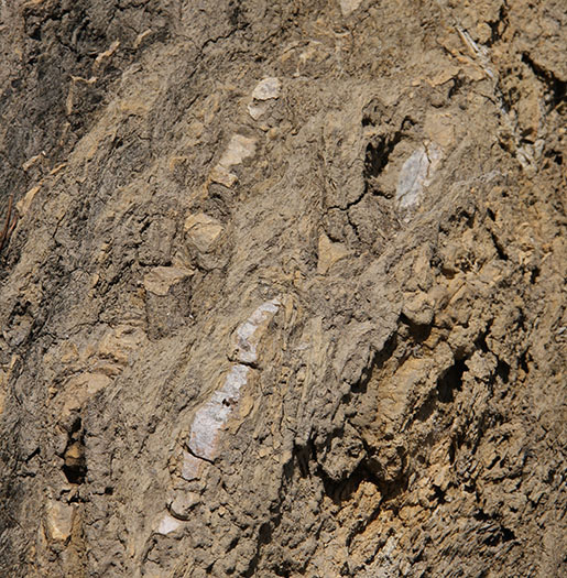 Mudstones